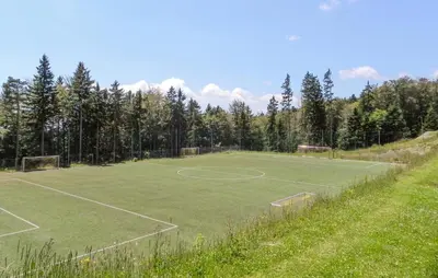 a soccer field with two soccer goals on it at Awesome Apartment In Pohorje in Pohorje