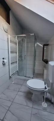 a bathroom with a shower and a toilet in it at Apartmaji Medved, brezplačno parkiranje in Tacen