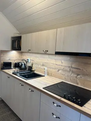 a kitchen with a sink and a counter top at Bella Mura Nature Apartment Lipa 97 in Podčetrtek