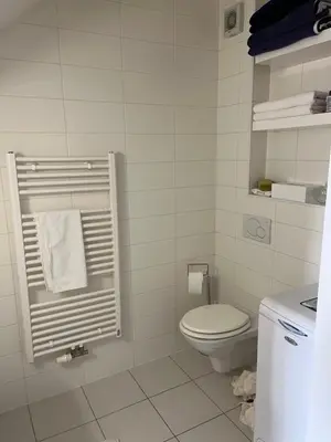 a white bathroom with a toilet and a sink at Bled lux apartment in Bled