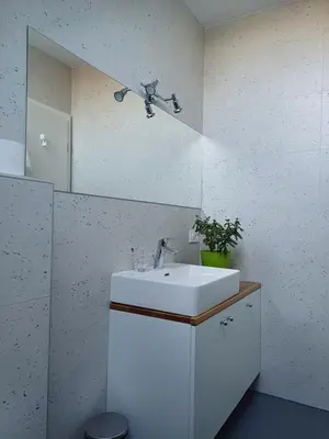 a bathroom with a sink and a mirror at Hiša Štolc in Gornja Radgona