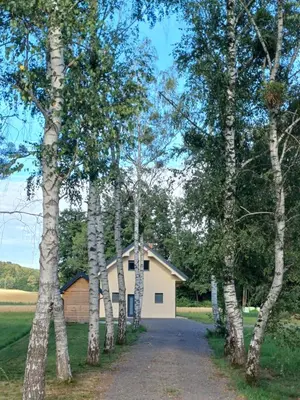 a house in the middle of a forest of trees at Hiša Štolc in Gornja Radgona