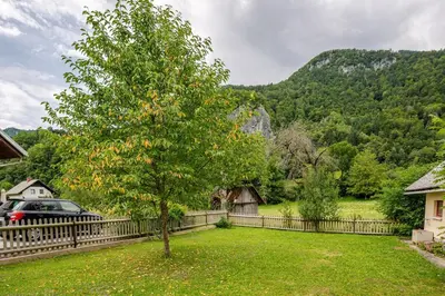 a tree in a yard next to a fence at Bela Luna - Charming Garden Cottage near Lake Bled in Bohinjska Bela