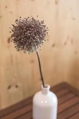 a white vase with a flower in it on a table at Glamping house Julija - Wellness & View in Ivanjkovci