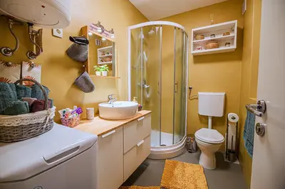 a bathroom with a shower and a sink and a toilet at Holiday Home Oxi in Čatež ob Savi