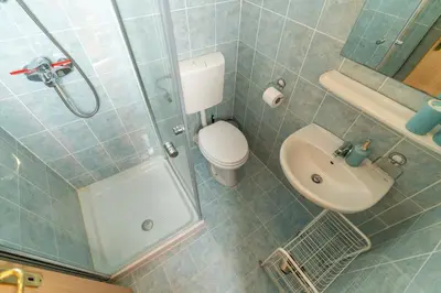 a bathroom with a shower and a toilet and a sink at Apartments and Rooms Hodnik Slavko in Bohinj