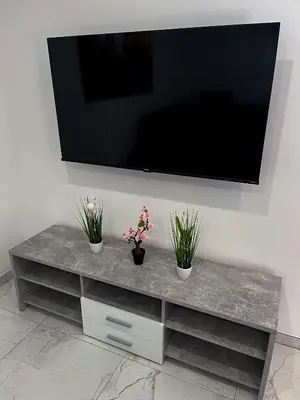 a television on a wall with two potted plants at Apartment Mandy in Rečica ob Savinji