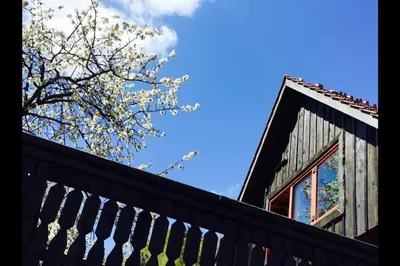 a house with a fence and a tree in the background at Wooden love nest in Vransko