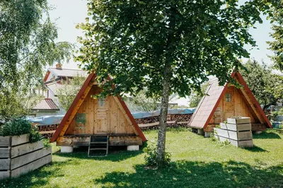 a group of houses with a tree in the yard at DS Camping in Grgar