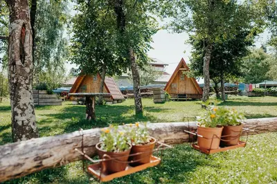 a group of potted plants in a yard with trees at DS Camping in Grgar