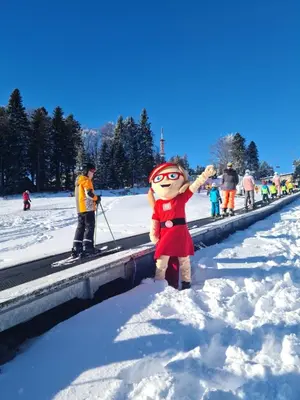 a stuffed animal is standing in the snow at Foxi apartment, Pohorje in Pohorje