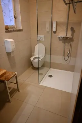 a bathroom with a toilet and a glass shower at Hiša Štekar in Kojsko