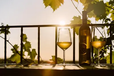 two glasses of white wine next to a bottle of wine at Hiša Štekar in Kojsko