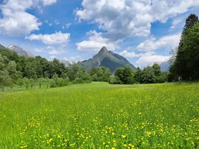 a field of flowers with a mountain in the background at Apartment Norma in Bovec