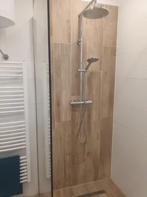 a shower in a bathroom with a wooden wall at The Cottage in Murska Sobota