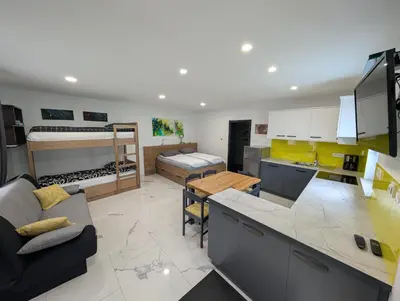 a kitchen and a living room with a bunk bed at TOMO 2 in Postojna