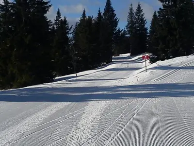 a snow covered road with trees on the side at Apartma Rogla Gaber 110 in Zreče
