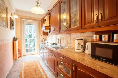 a kitchen with wooden cabinets and a sink at Residence Moritz with Sauna in Mozirje