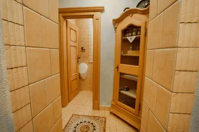 a bathroom with a toilet and a wooden cabinet at Residence Moritz with Sauna in Mozirje