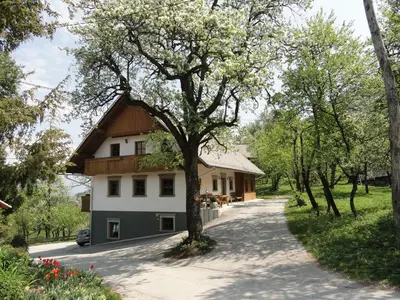 a house in the middle of a road with trees at Farm Stay Dolinar Krainer in Bohinjska Bela