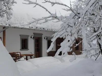 a house with snow on the branches of a tree at Farm Stay Dolinar Krainer in Bohinjska Bela