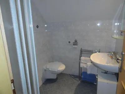 a bathroom with a toilet and a sink at Farm Stay Dolinar Krainer in Bohinjska Bela