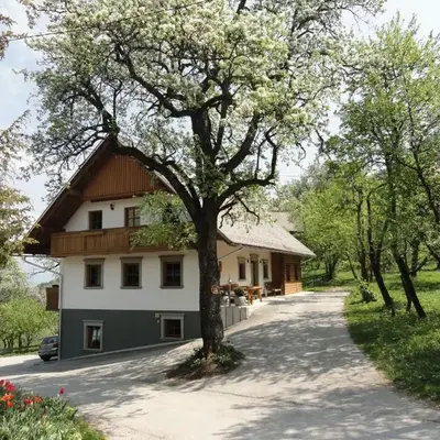 Farm Stay Dolinar Krainer