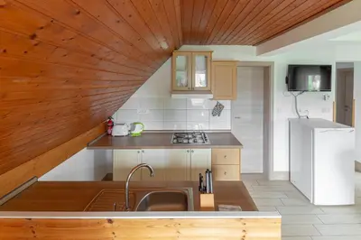 a kitchen with a sink and a refrigerator at Apartments Bor in Bohinj