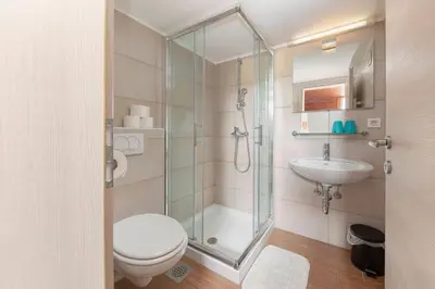a bathroom with a shower and a toilet and a sink at Apartments Bor in Bohinj