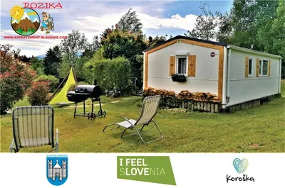 a tiny house with a bbq and a grill at Apartment Rozika in Slovenj Gradec
