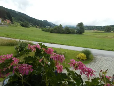 a view of a field with pink flowers and a road at Apartment Rozika in Slovenj Gradec