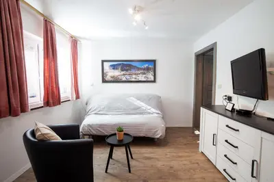 a bedroom with a bed and a tv and a table at Apartments Kosir in Kranjska Gora
