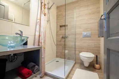 a bathroom with a shower and a toilet and a sink at Apartments Kosir in Kranjska Gora