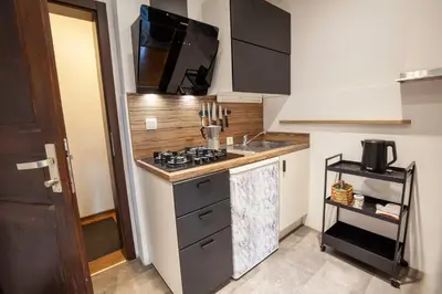a small kitchen with a stove and a sink at Apartments Kosir in Kranjska Gora