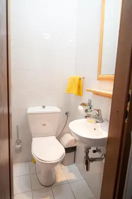 a bathroom with a toilet and a sink at Guest house Vila Korošec in Bovec