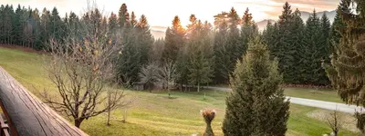 a view of a field with trees and a road at Apartments Jasa in Mozirje