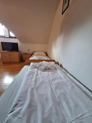 a bed in a room with two beds at Župnijski apartmaji in Dolenjske Toplice