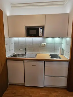 a small kitchen with a sink and a microwave at Župnijski apartmaji in Dolenjske Toplice