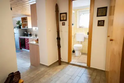 a bathroom with a sink and a toilet in a room at Ski Hut Smučka in Kranjska Gora