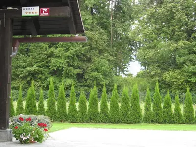 a hedge of plants in a park with a sign at Apartments Bledea in Bled