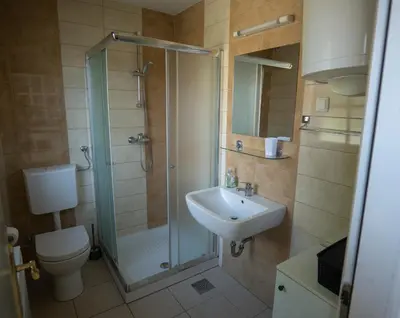a bathroom with a shower and a sink and a toilet at Apartment 47 Sara, Terme Čatež in Čatež ob Savi
