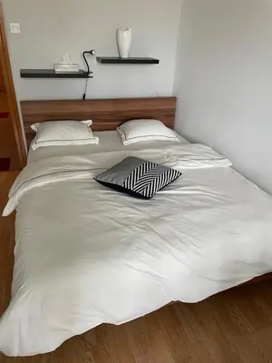 a large white bed with two pillows on it at Apartment in Ljubljana center in Ljubljana