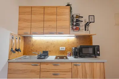 a kitchen with a sink and a microwave at VILA KLARA apartments in Ljubljana