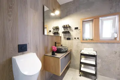 a bathroom with a white toilet and a sink at Suita beli Labod in Medvode