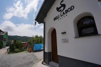 a building with a sign on the side of it at Suita beli Labod in Medvode