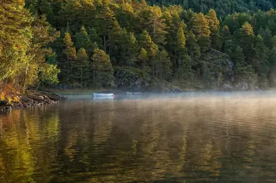 a boat on a lake in front of a forest at Suita beli Labod in Medvode