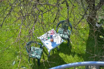 a kite hanging from a tree in a forest at YELLOW APARTMENT WITH FREE PARKING in Ljubljana