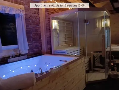 a bathroom with a large tub with a glass shower at Apartmaji Babi in Markovci