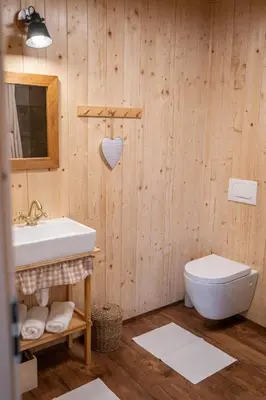 a bathroom with a toilet and a sink at Apartmaji Babi in Markovci