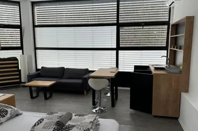 a living room with a couch and a desk in a room at Simba Studio Apartment A in Smarjeske Toplice
